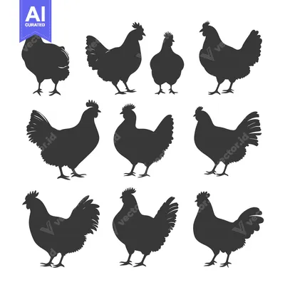 Aset premium populer: Set of Nine Chicken Silhouettes in Different Poses