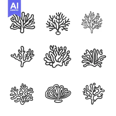 Set of Nine Line Drawings of Coral Reefs