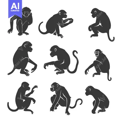 Set of Nine Monkey Silhouettes in Various Poses