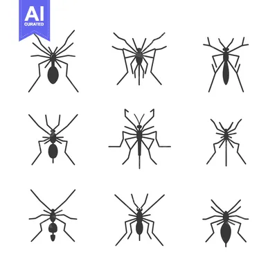 Set of Nine Simple Black Spider Silhouettes