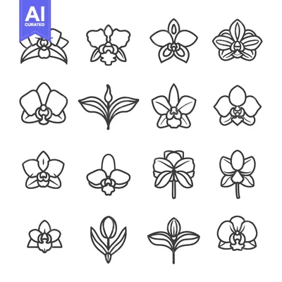 Aset premium populer: Set of Orchid Flower Line Icons with Different Views and Variations