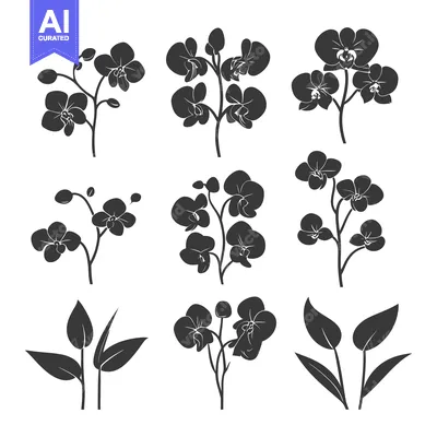 Set of Orchid Flower Silhouettes in Black and White