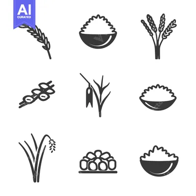 Aset desain premium: Set of Rice and Wheat Icons