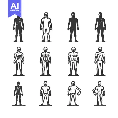 Set of Silhouettes of Skeletonized Figures with Various Anatomical Det