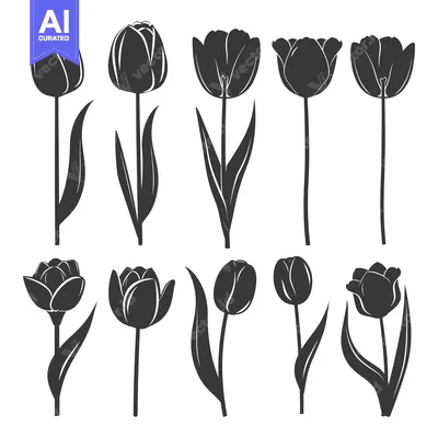 Set of Silhouette Tulips in Different Stages of Bloom