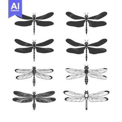 Popular premium asset: Set of Six Black and White Dragonfly Illustrations