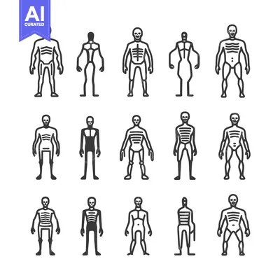 Premium design asset: Set of Skeleton Icons in Different Poses