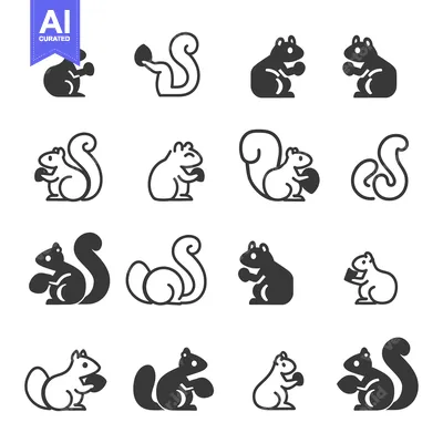 Set of Squirrel Icons in Black and White with Nut