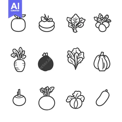 Aset premium populer: Set of Twelve Black and White Line Drawings of Root Vegetables