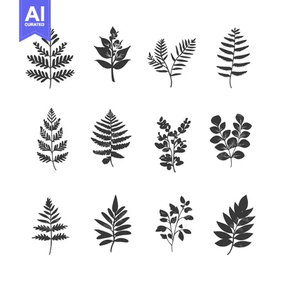 Aset desain premium: Set of twelve black and white silhouettes of different leaves
