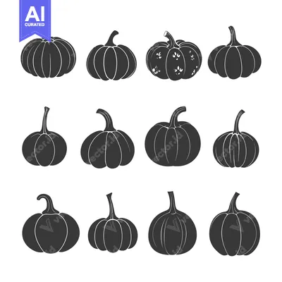 Set of Twelve Black Silhouettes of Pumpkins on White Background