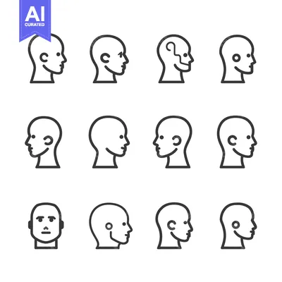 Premium design asset: Set of Twelve Line Drawings of Human Heads in Profile