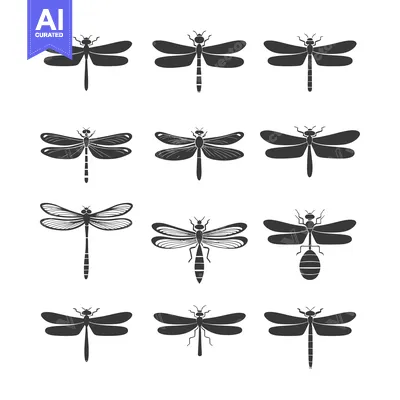 Set of twelve simple black and white dragonfly icons