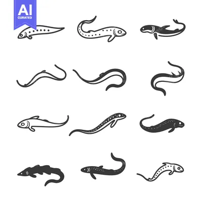 Popular premium asset: Set of Various Fish Silhouettes in Black and White