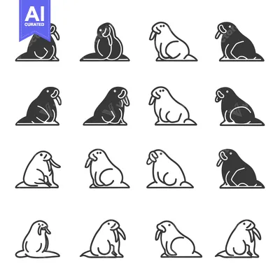 Aset premium populer: Set of Walrus Line Icons, Black and White, Multiple Variations