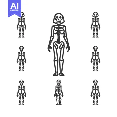 Premium design asset: Seven Standing Human Skeletons in Black and White
