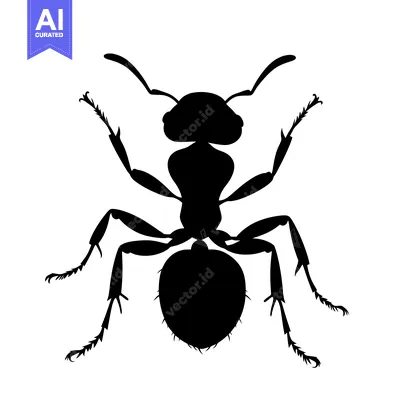 Popular premium asset: Black Silhouette of an Ant with Six Legs and Antennae
