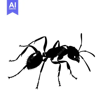 Premium design asset: Black Silhouette of an Ant with Six Legs and Antennae