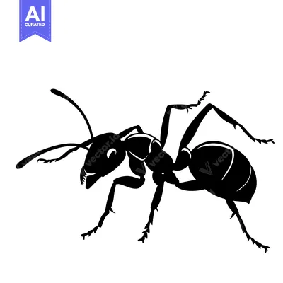 Black and White Silhouette of an Ant
