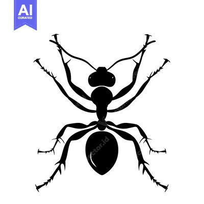 Aset desain premium: Black Silhouette of an Ant with Outstretched Legs