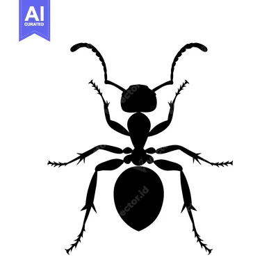 Popular premium asset: Black Silhouette of an Ant Viewed from Above