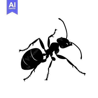 Premium design asset: Black Silhouette of an Ant with Six Legs and Antennae