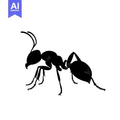 Silhouette of a Black Ant Walking