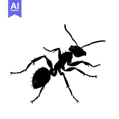 Aset desain premium: Black and White Silhouette of an Ant in a Walking Pose
