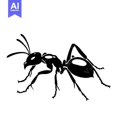 Popular premium asset: Black and White Silhouette of an Ant with Six Legs