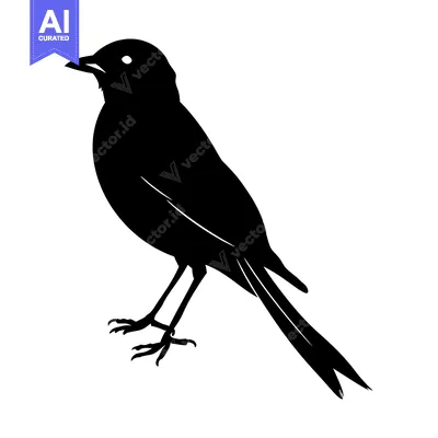 Aset premium populer: Black and White Silhouette of a Bird with a Long Tail