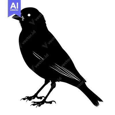 Black Silhouette of a Bird with Sharp Claws