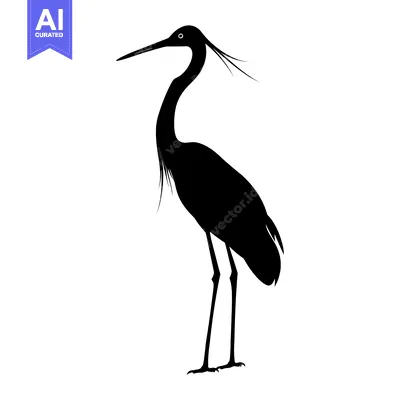 Aset premium populer: Black and White Silhouette of a Standing Bird