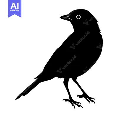 Aset premium populer: Black and White Silhouette of a Bird