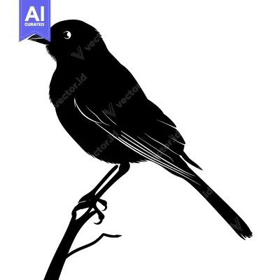 Aset premium populer: Silhouette of a Bird Perched on a Branch