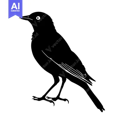 Aset premium populer: Black Silhouette of a Bird with Perched Posture