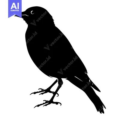 Premium design asset: Black Silhouette of a Bird Standing with its Legs Spread Apart