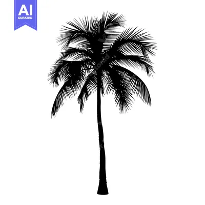 Aset premium populer: Black and White Silhouette of a Single Palm Tree