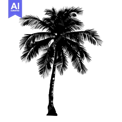 Aset premium populer: Black and White Silhouette of a Palm Tree