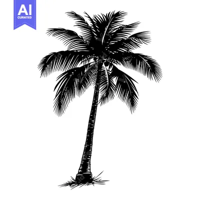 Premium design asset: A Black and White Silhouette of a Tall Palm Tree