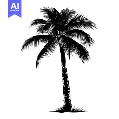 Aset desain premium: Black and White Silhouette of a Tall Palm Tree