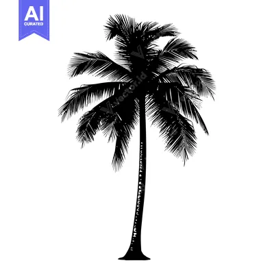 Popular premium asset: Black and White Silhouette of a Palm Tree