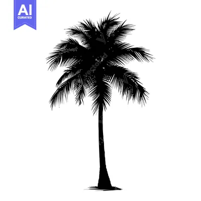 Popular premium asset: Silhouette of a Single Palm Tree with a White Background