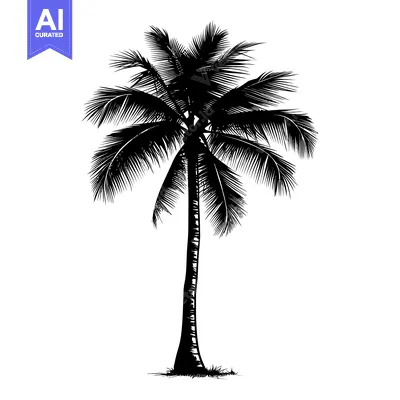 Aset desain premium: Black and White Silhouette of a Palm Tree