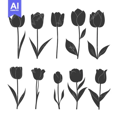 Aset premium populer: Silhouette Collection of  Tulip Flowers with Stems and Leaves
