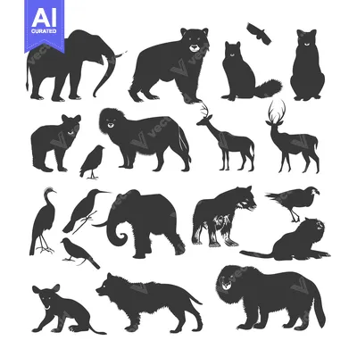 Silhouette Collection of Various Animals