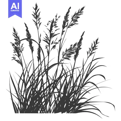 Aset desain premium: Silhouetted Tall Grass with Long Blades