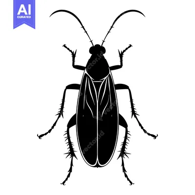 Popular premium asset: Black and White Silhouette of a Cockroach