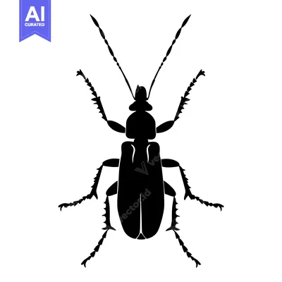 Black and White Silhouette of a Beetle with Spiky Legs