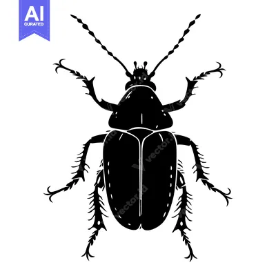 Premium design asset: Silhouette of a Beetle with Spiky Legs and Antennae