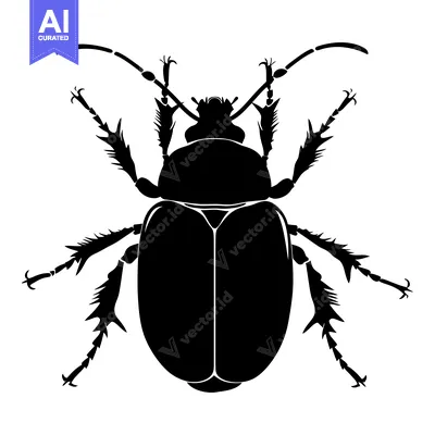 Black Silhouette of a Beetle with Spiky Legs
